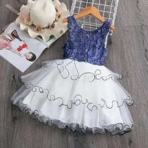 Girls’ Ruffle Mesh Embroidered Dress